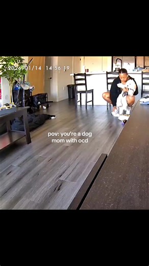 cause you’re getting wiped down after every walk idc. the thought of all the dirt grosses me out 😂 #puppytiktok #puppiesoftiktok #maltipoo #doodlesoftiktok #dogmom