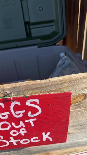 My how it’s changed overnight and farm stand update October 20, 2025 #coghillfarm #funfarm #farmlife #farmstand | Cog Hill Farm