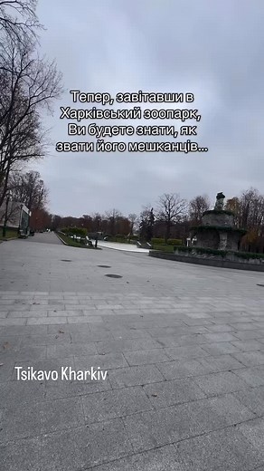 Tsikavo | Kharkiv | 📸🤩 | amazing | animals | city | zoo | 2025 📸 @mike_grekov_new | photographer | photo #photo #autumn #ukraine #travel #photography #nature #kiev #photooftheday #instagood #украина #photographer #love #beautiful #kyiv #осень #girl #lviv #instagram #odessa #vsco #україна #happy #follow #like #like4like #киев #life #фото #mood | Харьков, Украина