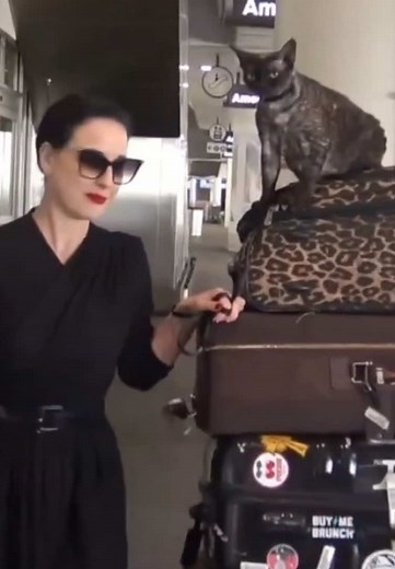Dita Von Teese: Fashion and Paparazzi Highlights