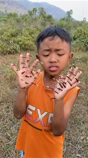 Survival Skills: SMART idea and USE🖐️🖐️🖐️🖐️🖐️