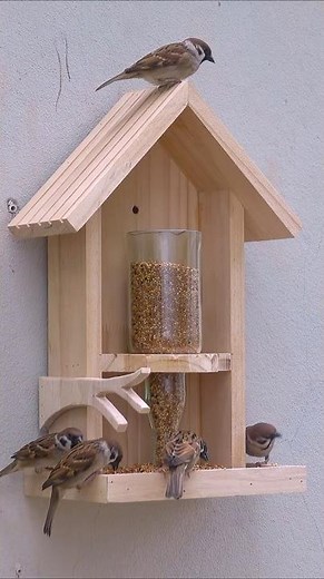 Turn Wine Bottle Into AMAZING Bird Feeder
