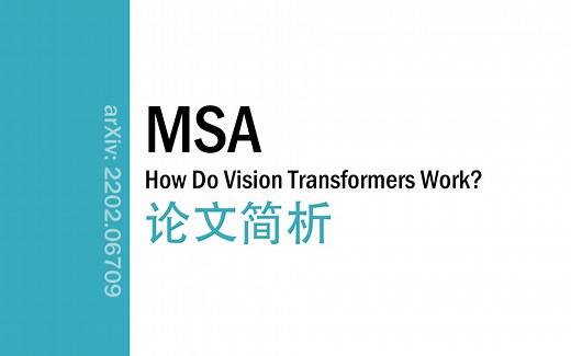 [论文简析]How Do Vision Transformers Work?[2202.06709]