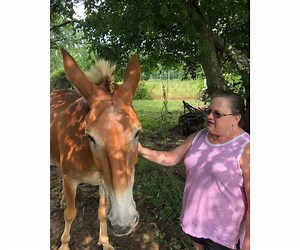 Antonia Maria Wilson Obituary (2025) - Springfield, TN - Springfield Memorial Gardens, Funeral Home & Cremation Center - Springfield