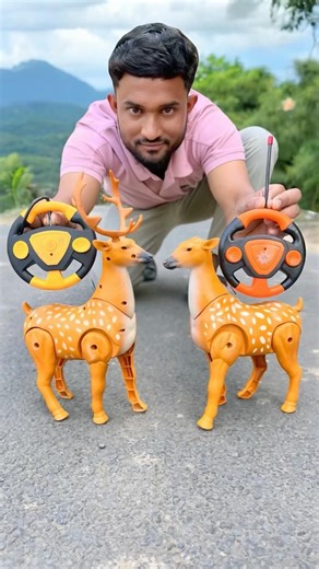 Two Remote Control Deer Testing and Unboxing 😱