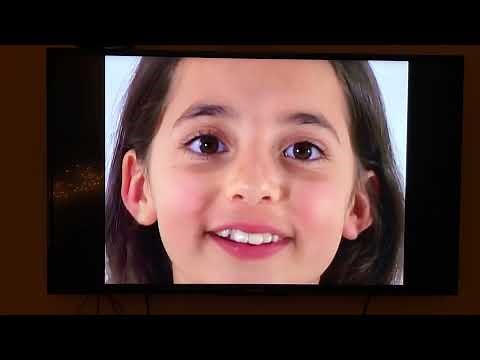 Baby Bumblebee/Bumblebee Kids & OnSpectrum, Inc.: Question Words DVD Part 1