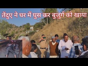 Leopard Eats Man | Jim Corbett National Park | Leopard Attack | Tiger Attack | Documentary in Hindi