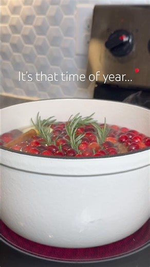 CHRISTMAS SIMMER POT RECIPE / FESTIVE SIMMER POT