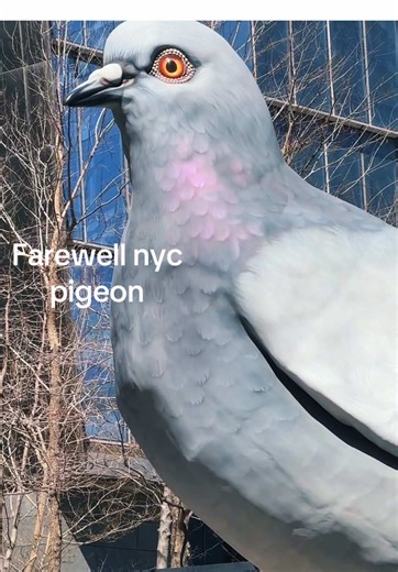 Going Away Party for the Giant Pigeon Statue at The High Line