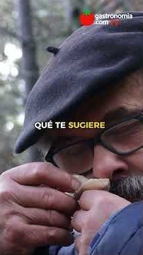 La joya del bosque: Boletus Edulis 🍄‍🟫