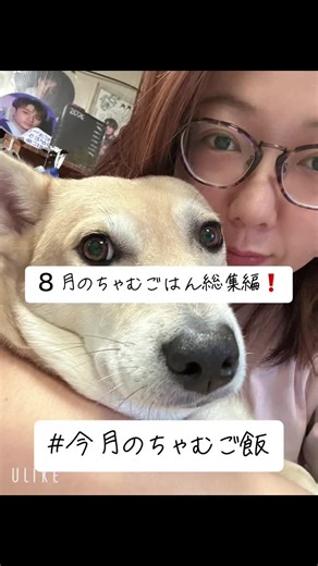 #8月のちゃむご飯総集編 #今日のちゃむご飯 #ちゃむさん #ただのstay #私はチャニペン #大人stay