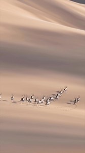Namib desert | Solly Levi Photography