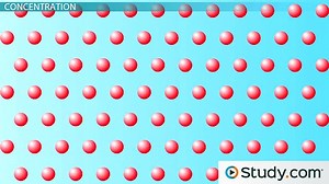 Calculating Molarity and Molality Concentration