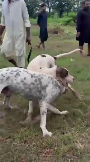 Cleaning Floor With Transparent | Clean With me #fyp​ #foryou​ #funny​ #comedy​ #shorts​ #ytshorts​