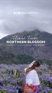 Northern Blossom Flower Farm — Atok, Benguet 🌸 | Explore with Chelo PH