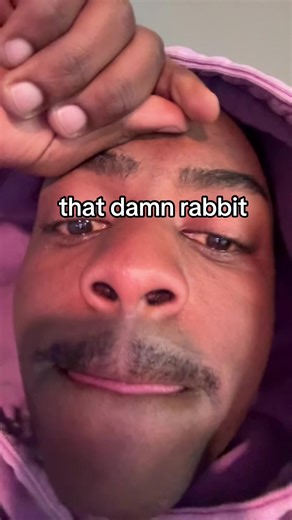 why me | rabbit