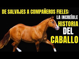 Horses: The Incredible Story of Their Domestication and Evolution