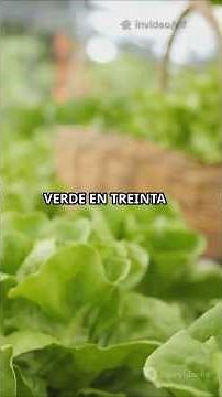 🌱 Cómo Cultivar Legumbres y Hortalizas en Casa | Huerto Interior Fácil Paso a Paso 🏡