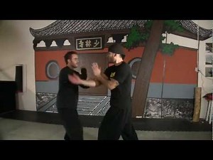 Hung Gar, Combo From Gong Ji, Hung Gar Kuen