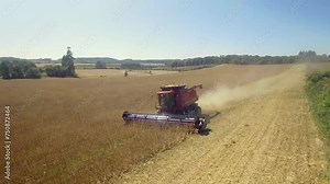 agriculture. harvester harvests wheat in a field at sunset. business farm agriculture concept. harvester