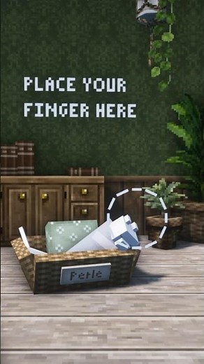 Place your finger here version Minecraft 👆