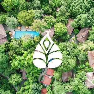 Introducing our NEW Bodhi Tree Signature Yoga & Fitness Retreat | February 8-15, 2020 Experience a week in paradise at our world-class yoga and fitness resort in Nosara, Costa Rica. Wake up with the howler monkeys, meditate beside gentle streams, test your fitness limits and be serenaded by the symphony of the jungle. Our Signature Yoga and Fitness Retreats are the perfect getaway for yogis and fitness enthusiasts to dive deeper into their practice and well-being while enjoying a vacation in par