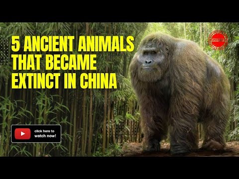 5 Ancient Animals that became Extinct in China