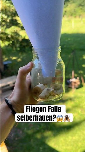 How to build an easy fruit fly trap?😱 #flies #flytrap #summer #kitchenhack #householdtips