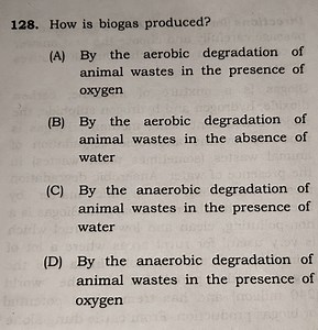 128. How is biogas produced?(A) By the aerobic degradation of ... | Filo