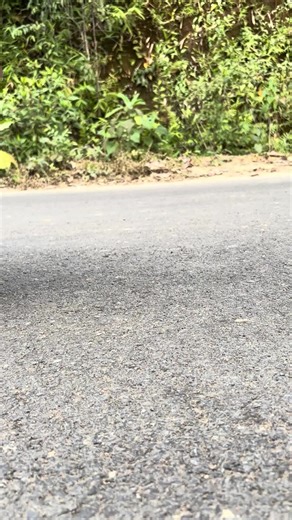 Best cng auto and car racing tasting🛺_shortsfeed#funny #Toys #viral #fyp #asmr
