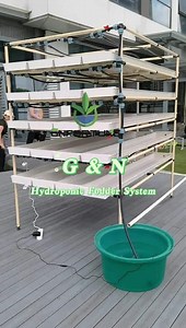 Barley Seeds Sprouting System for Animals Husbandry Equipment Micro Green Growing Systems Hydroponics Growing Fodder Farm