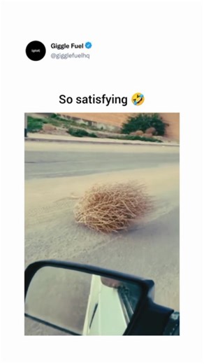 Giggle Fuel on Instagram: "A person is recording a video from inside a car as they drive down a paved road. In the middle of the street, they spot a large, dry tumbleweed rolling slowly across the asphalt. As the car approaches and passes the tumbleweed, the person filming begins to whistle and mimic the iconic, high-pitched "wa-wa-wa" theme music from old Western movies. The camera pans to follow the tumbleweed as it moves toward the side of the road, perfectly matching the lonely, desert atmos