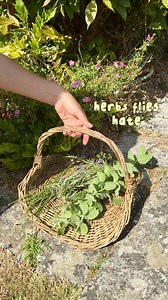 16K views · 7.3K reactions | I think the sound of flies in the house...