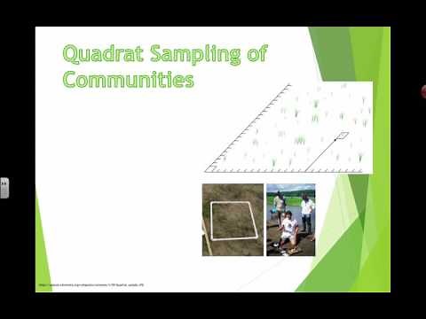 Quadrat Sampling (2016) IB Biology