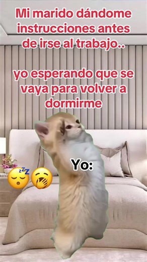 Ala orden mi patrón 🤣🤣🤣😂😂😂 | me and my husband