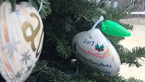 A Christmas tree on the beach? You can add a seashell, too