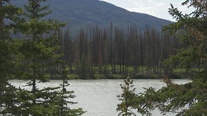 Pilot program allows Canadians to connect to satellite cell service for free