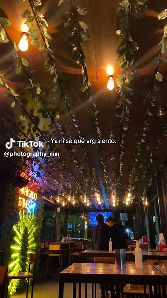 Exploring the Cozy Ambiance of a Unique Restaurant