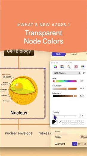 New in MindNode 2026.1 — Transparent Node Colors