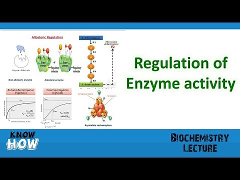 Regulation of enzyme activity