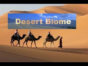 Desert Biomes -Facts about Plants ,Animals and Climate - for Kids