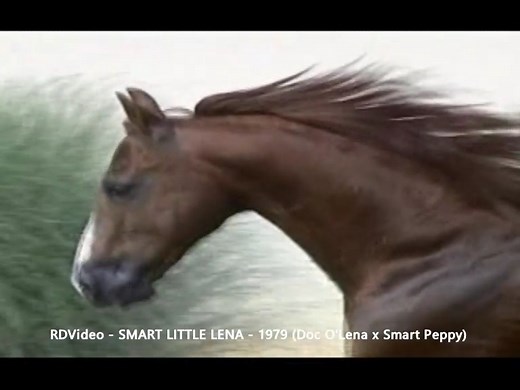 74K views · 2.2K reactions | A tribute to SMART LITTLE LENA - 1979...