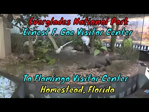 Everglades National Park Coe Visiter Center to Flamingo - Homestead, Florida