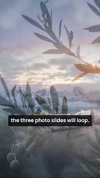 PowerPoint TIPS - Looping INTRO #powerpoint #tutorial #microsoft