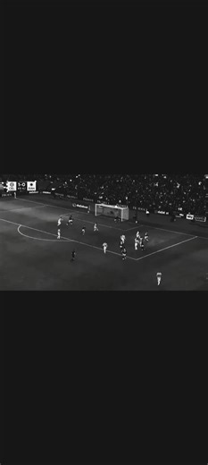 Intense Moments from Celtic Fans