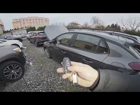 Hat der Opel CORSA F Electric (2019–heute) Windows Global Opening?