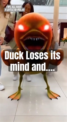 COMEDY: Agro duck goes crazy and dies the unthinkable