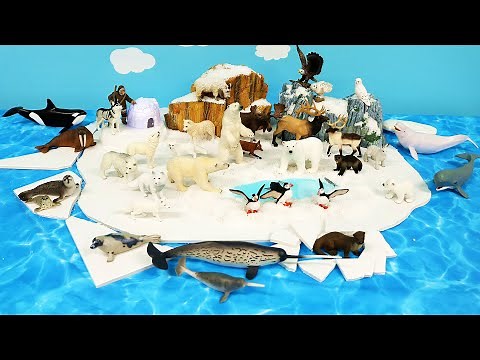 Polar Animal Figurines and Arctic Tundra Diorama