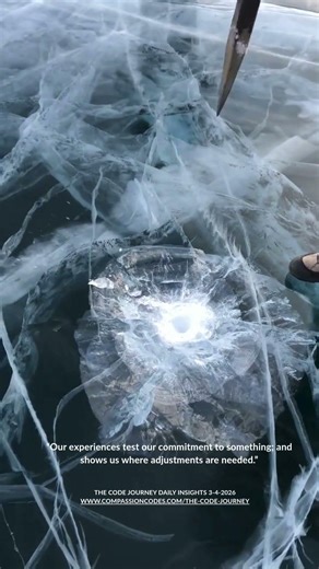 Daily Insights 3-4-2026