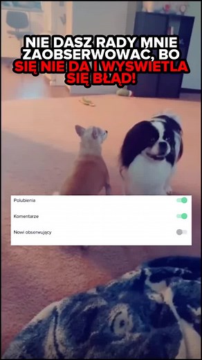 dasz rade? #dc #goviral #viral #dlaciebie